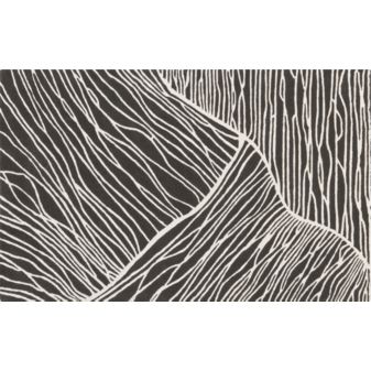 AerialRug5x8S12