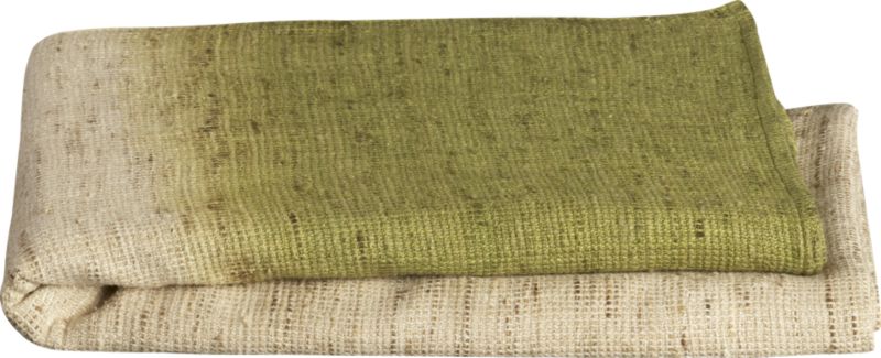 agra silk throw