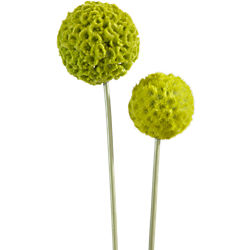 green artificial allium flower stems