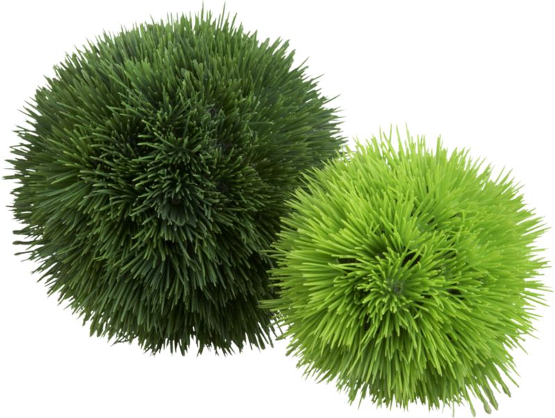 \#1 astro balls shopping in CB2 accessories