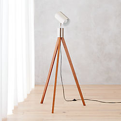 astronomy floor lamp
