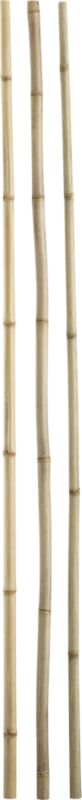 bamboo poles