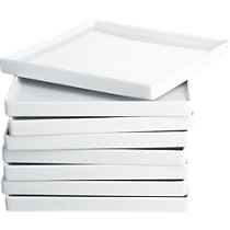 bento dinner plates set of eight