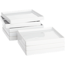 bento salad plates set of eight
