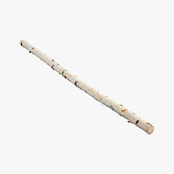 birch branch