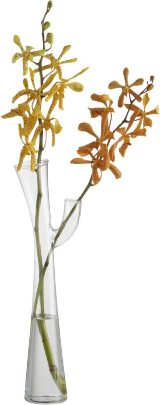 branch vase