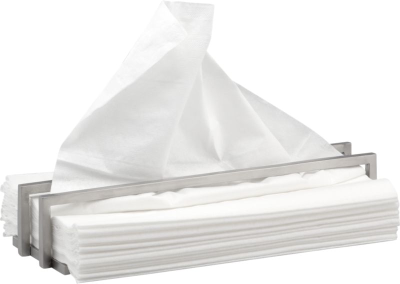bridge tissue holder