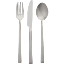 12-piece brushed silver flatware set