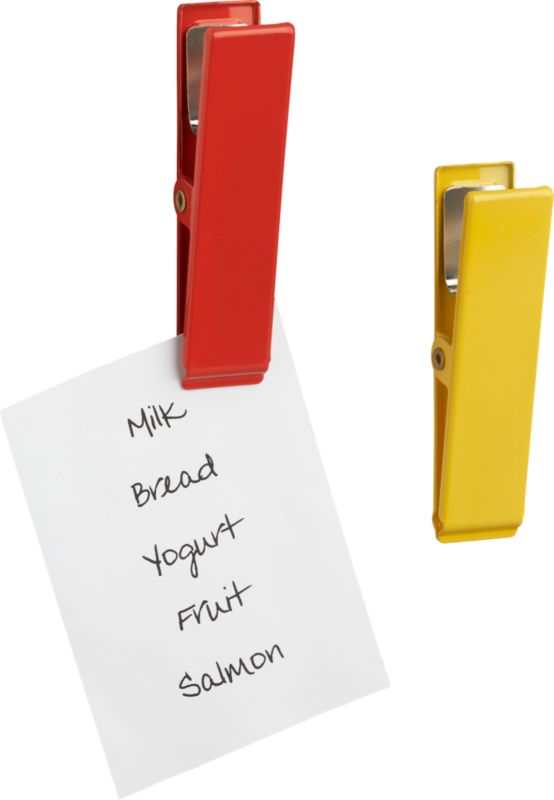 clipper magnets set of two