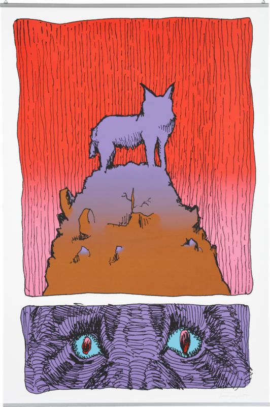 coyote poster