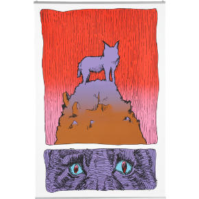 coyote poster
