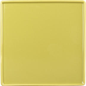 crewcut square sprout appetizer plate
