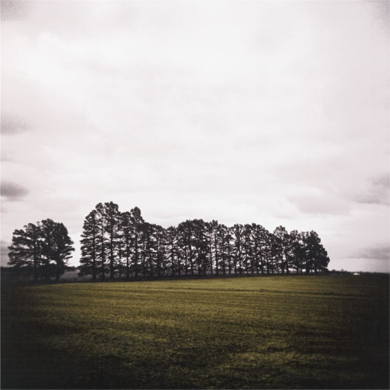 cypress row print