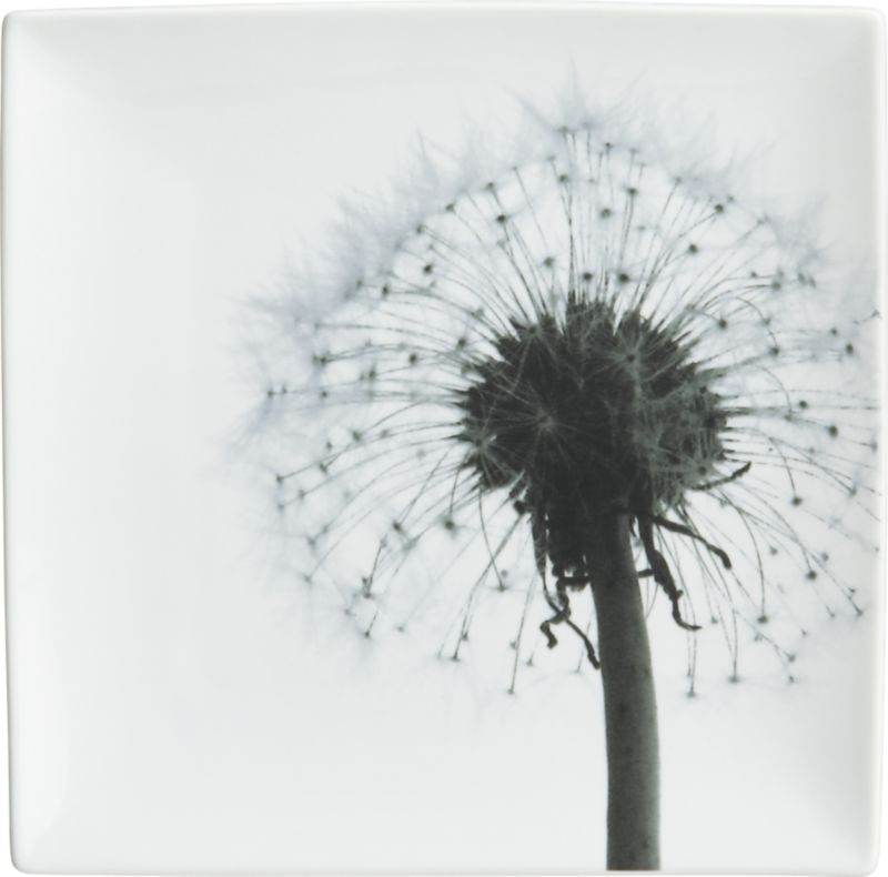 dandelion square platter