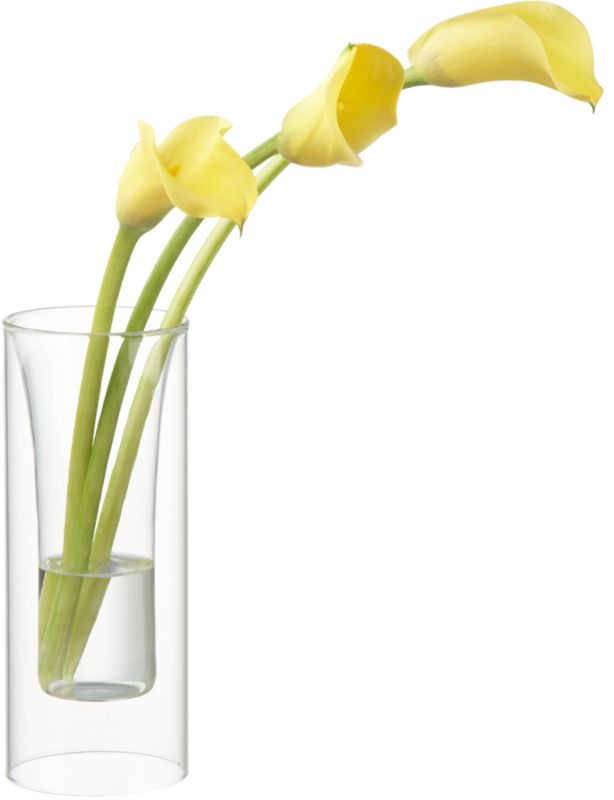 double wall vase