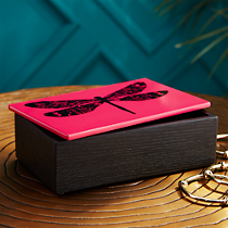 dragonfly storage box