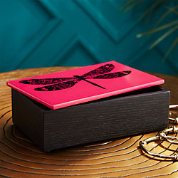dragonfly storage box