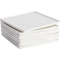 edge dinner plates set of eight