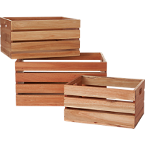 eucalyptus storage boxes
