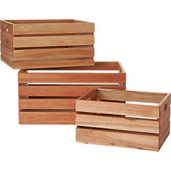 eucalyptus storage boxes