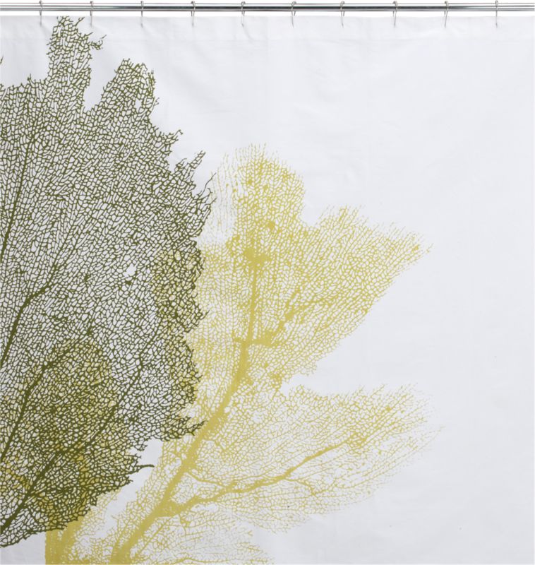 fan coral shower curtain
