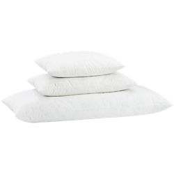feather-down rectangular pillow inserts