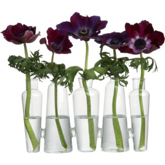 FiveBottleBudVaseS11
