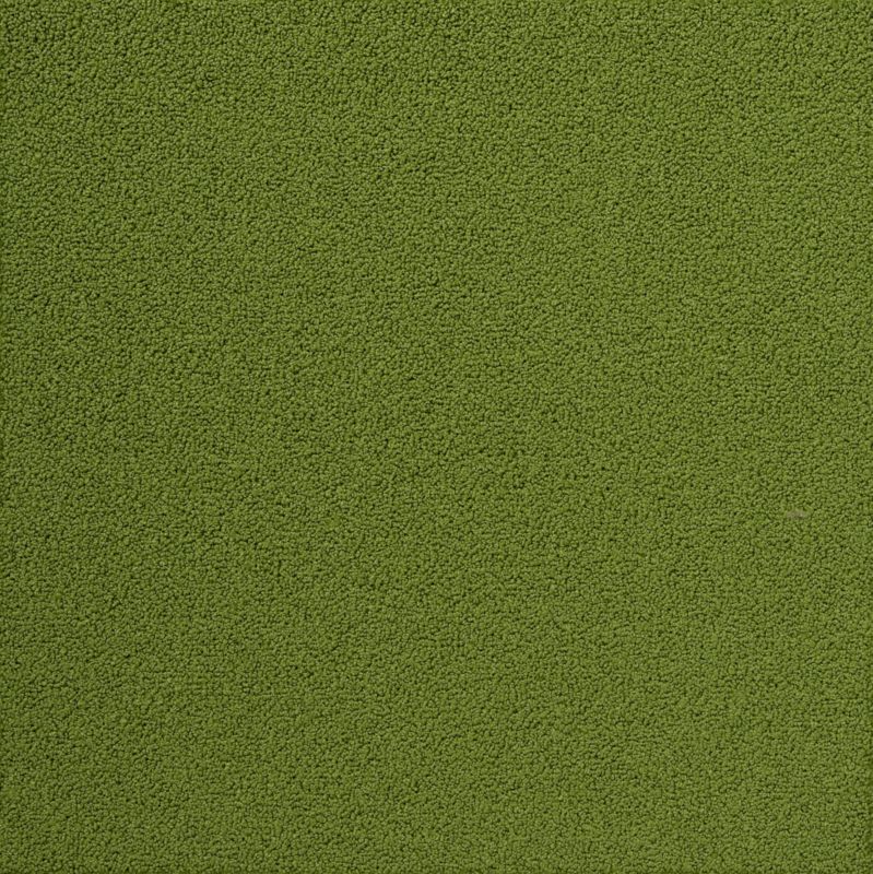 FLOR ™ Toy Poodle ™ tile