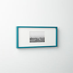 gallery peacock 4x6 picture frame