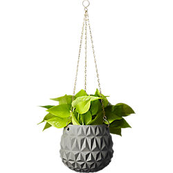 glisan grey hanging planter