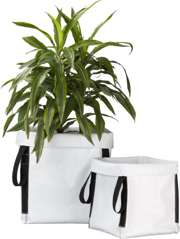 gro planters