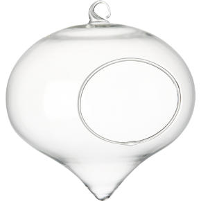 hanging glass terrarium
