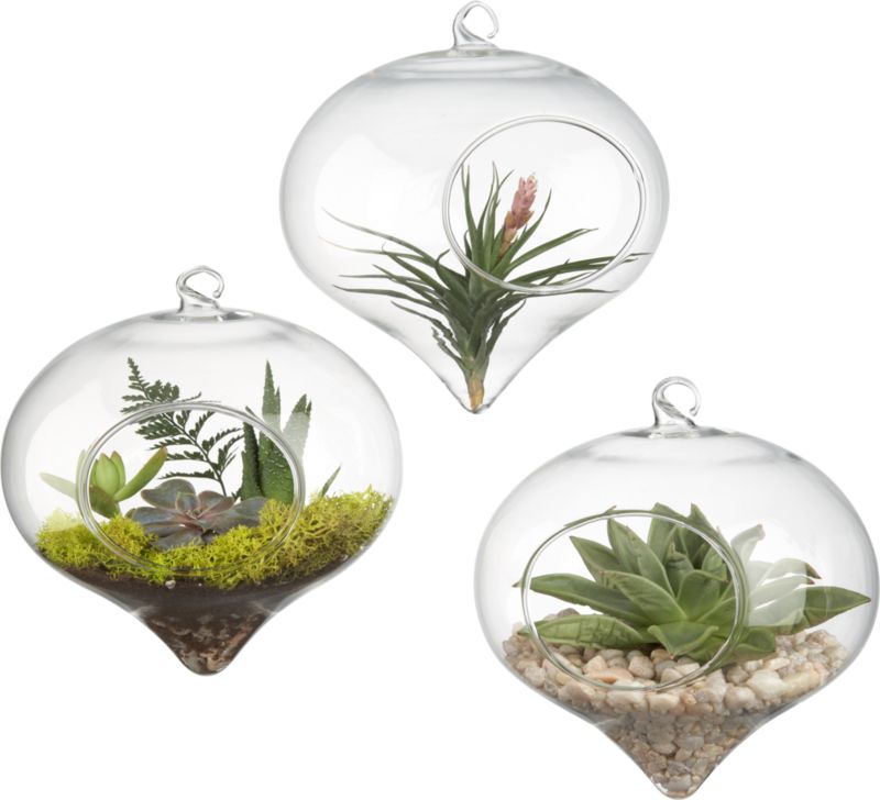 hanging glass terrarium