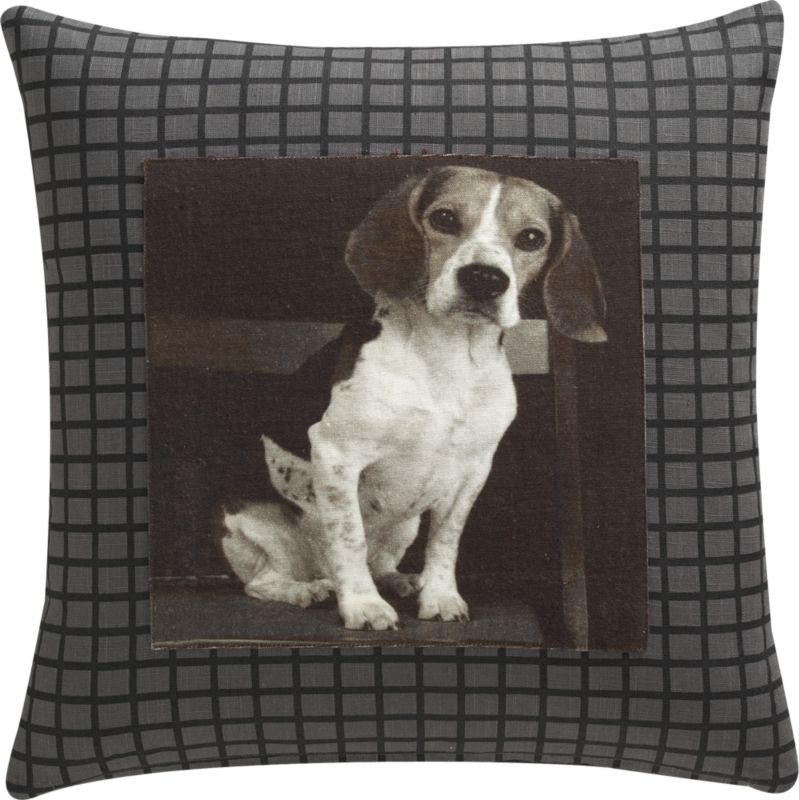 hound 18" pillow