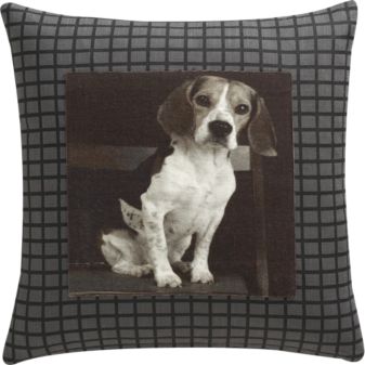 HoundPillow18inS12