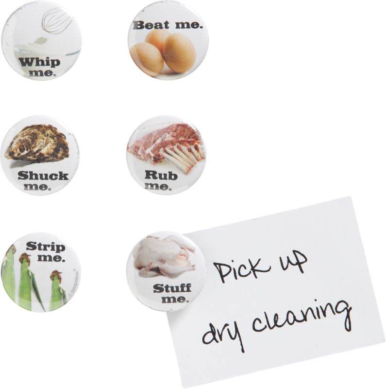 kitchinnuendo magnets set of six