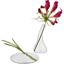 mini bud vases