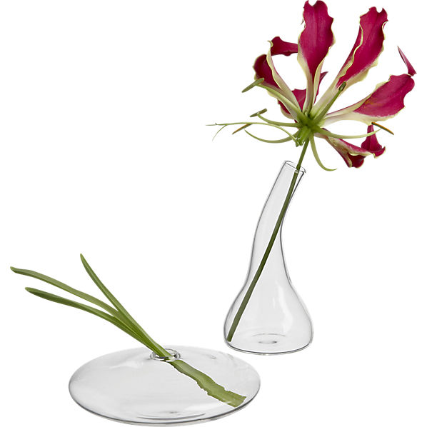 mini bud vases CB2