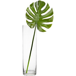 cylinder vase