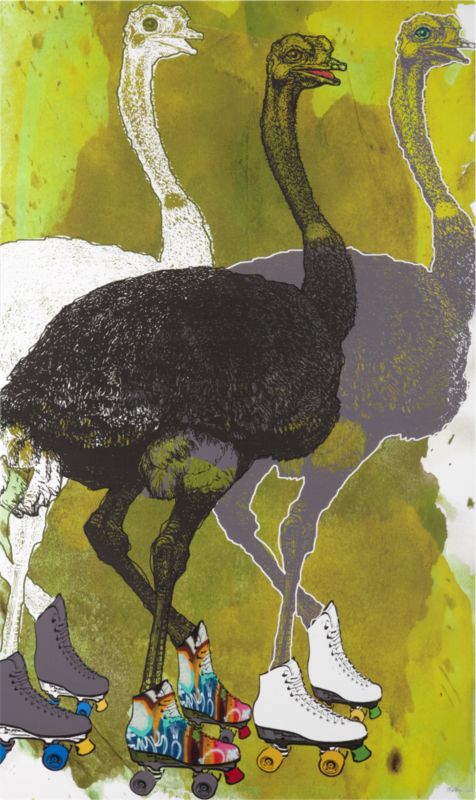 ostriches print