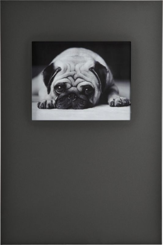 oxide 8x10 frame