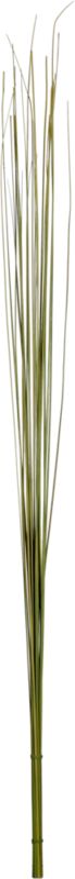 palm sticks set of 25