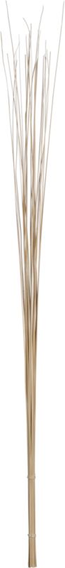palm sticks set of 25