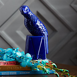parrot