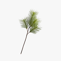 pine spray