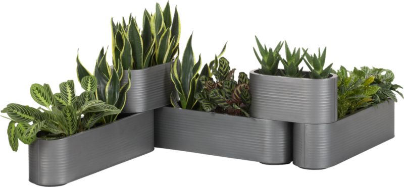 pony planters set of five