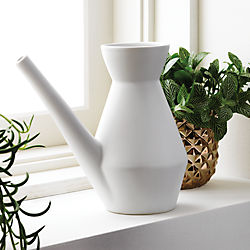 SAIC watering carafe