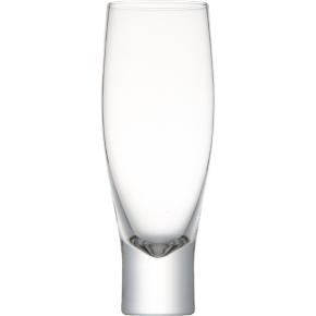 salud beer glass