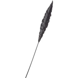 shed leaf stem