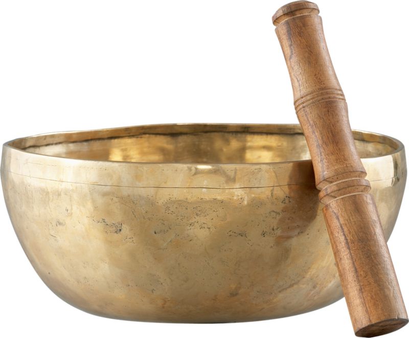 CB2 one of a find<br />singing bowl